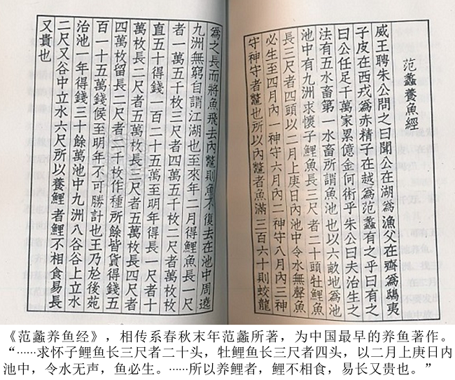 养鱼经.png