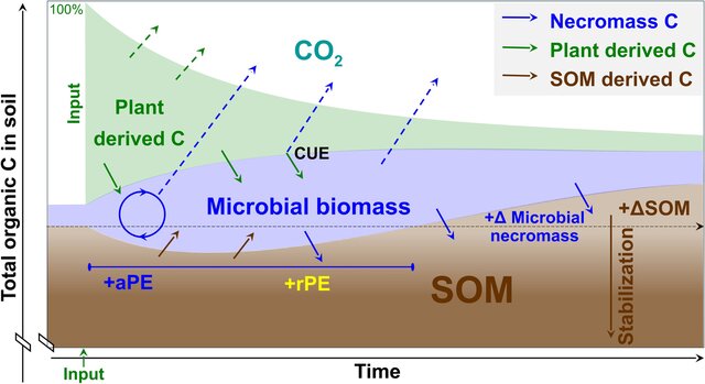 Dynamics-of-soil-organic-matter-SOM-and-microbial-biomass-under-positive-priming.jpg