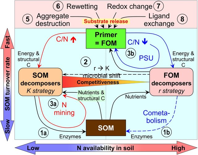 Hypothesized-biotic-light-blue-background-and-abiotic-rosa-background-mechanisms.jpg
