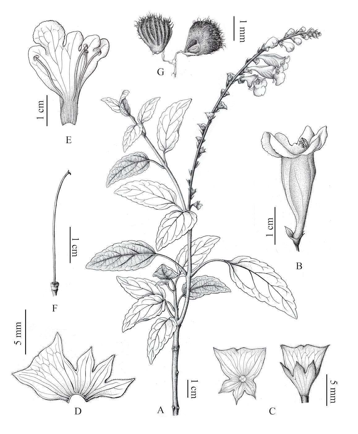 截屏2026-01-09 10.21.25.png