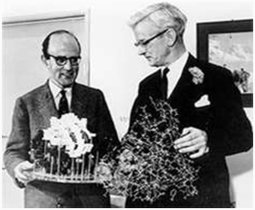 ͼ4 DNA����-02����³����ϵ�³��.jpg