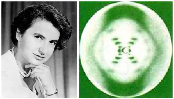 ͼ7 DNA����-05�������˺�51����Ƭ��.jpg