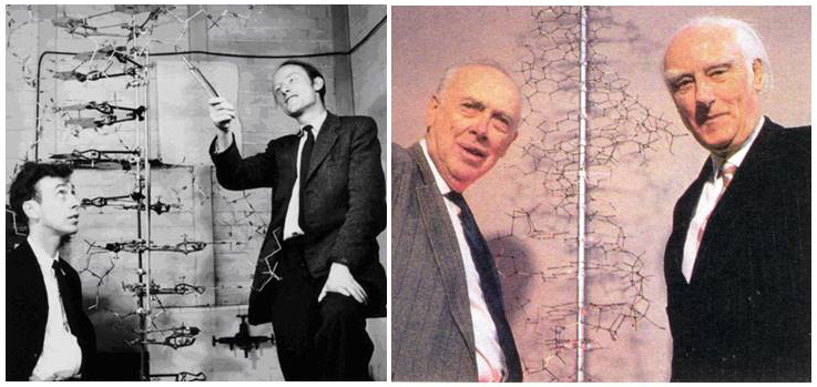 ͼ9 DNA����-07����ɭ-����ˣ�.jpg