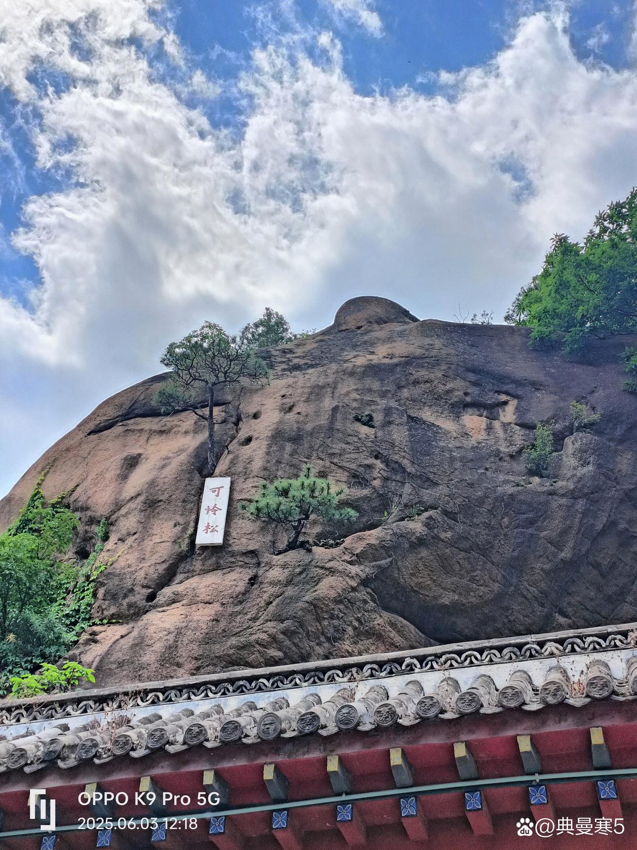 可怜松 9d82d158ccbf6c81c9013569fe1f423a33fa4029.jpeg