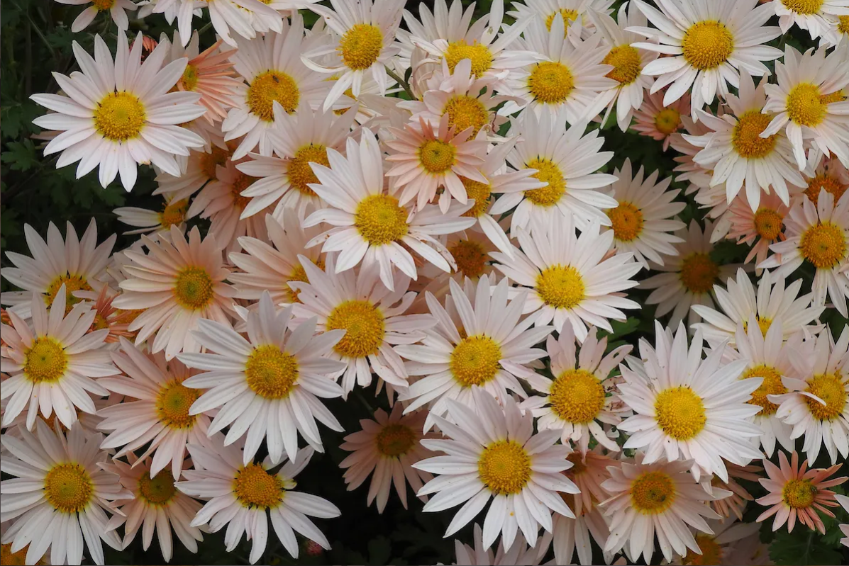 ͼ2 �긴һ��ɹ��͵Ķ������ջ�.png