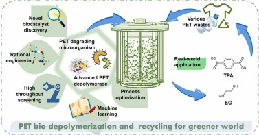 640 - 2025-09-10T155052.735.png