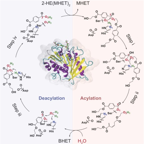 640 - 2025-09-10T155103.068.png