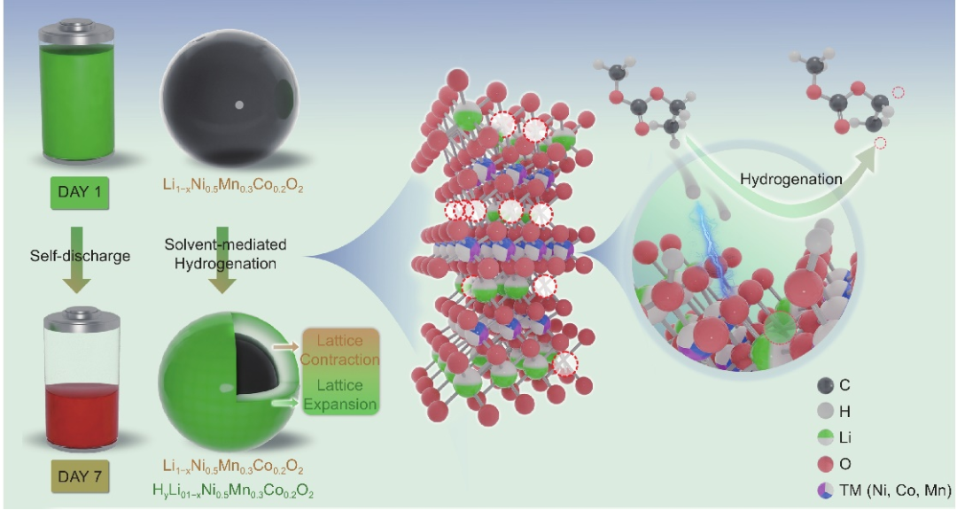 640 - 2025-09-18T160638.553.png