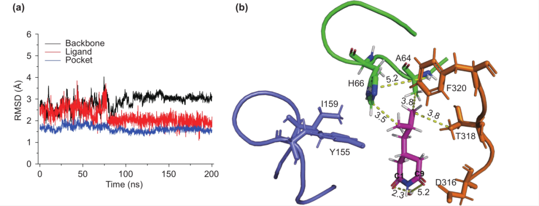 640 - 2025-09-19T165010.060.png