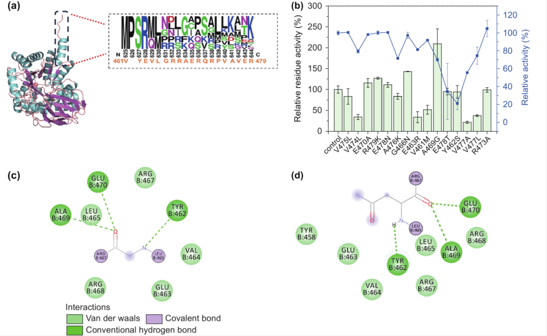 640 - 2025-09-19T165402.915.png