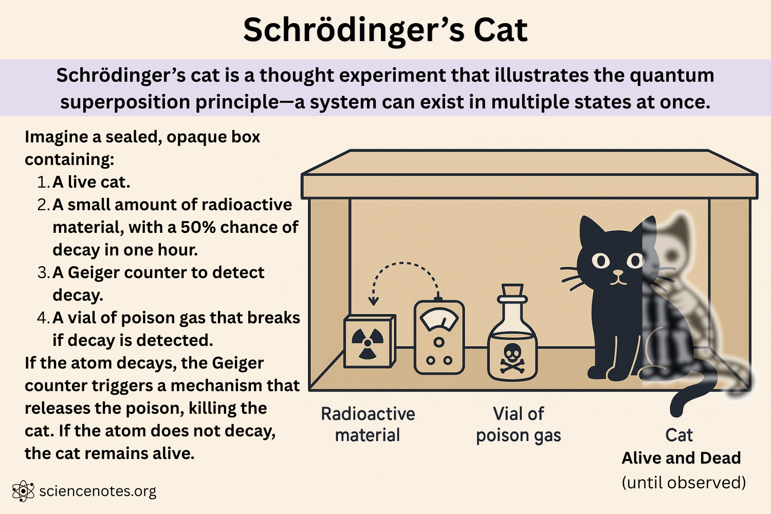 Schrodingers-Cat-Explained.png