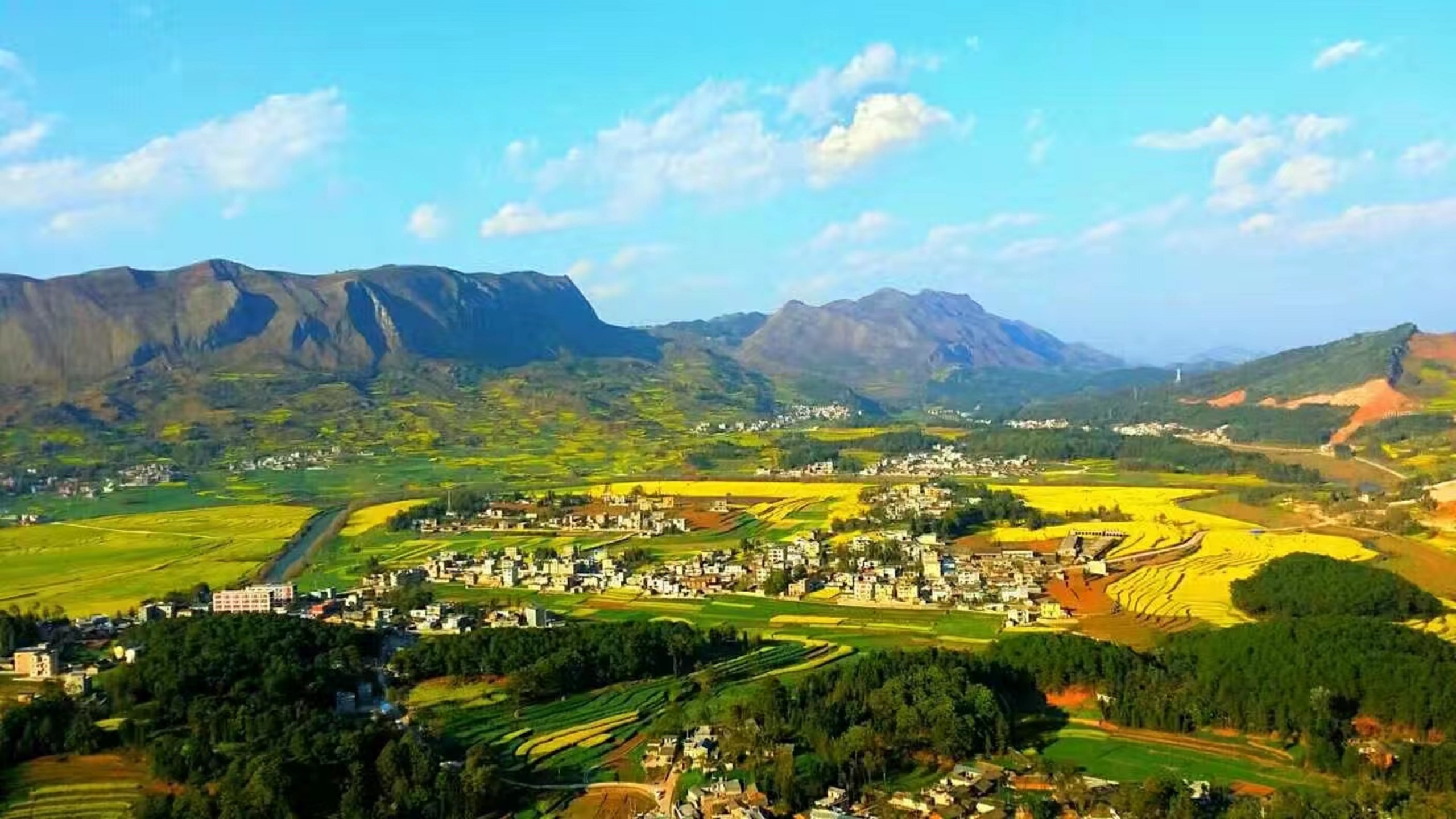 �ᶫ��Үɽ��Сѧ���� ͼ�� ����¼ (1).jpg