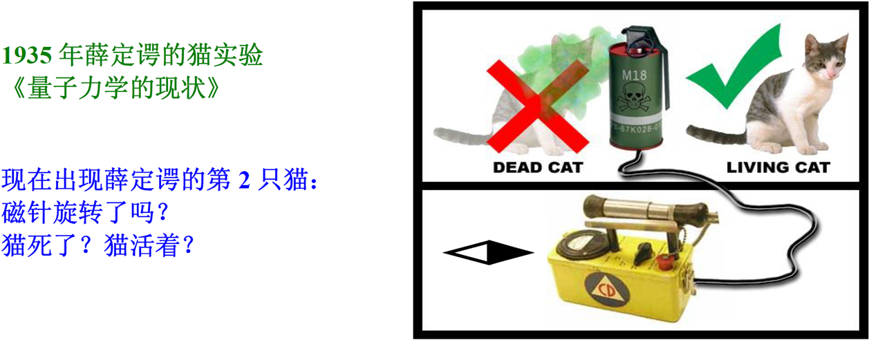 薛定谔的2只猫2008-11-12上午南开大学二主楼_小.jpg