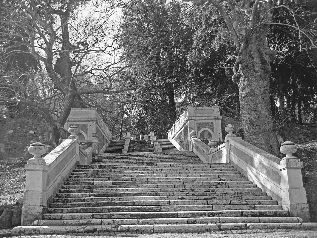 ͼ2 ����ֲ��԰ʮһ��Ǫ̈̄�� ��11ҳ-3.PNG