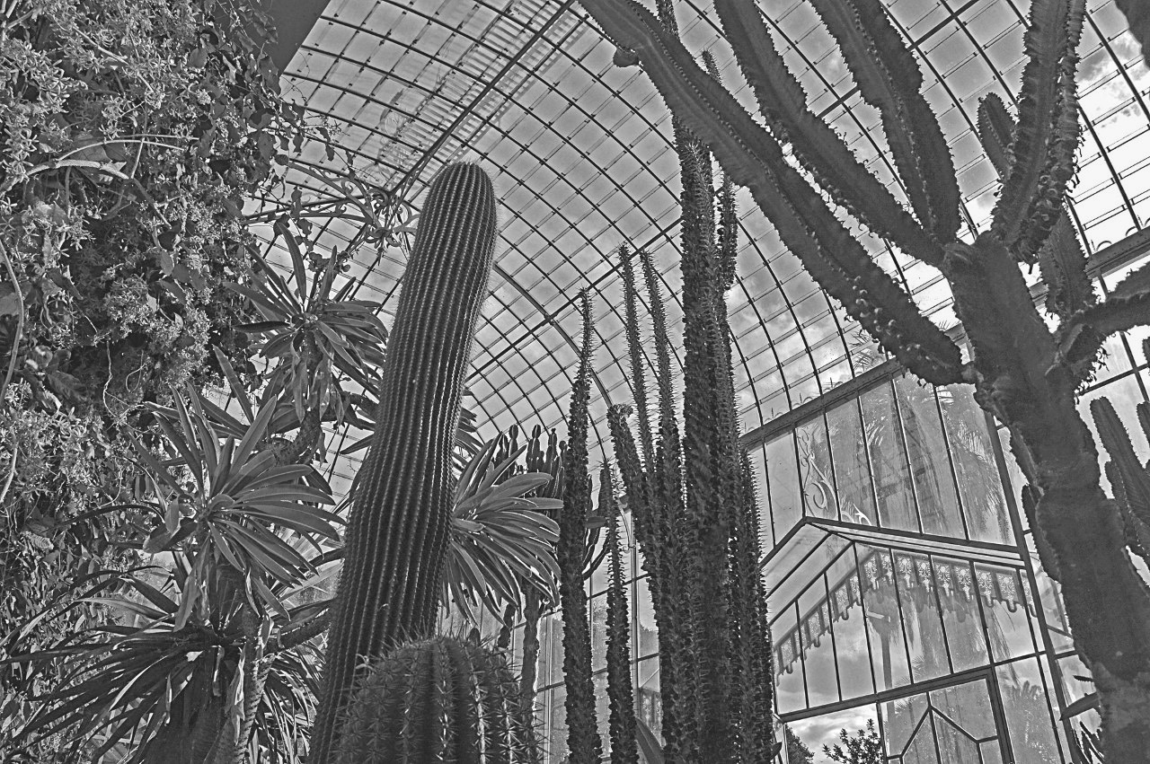 ͼ3 ����ֲ��԰���������� ��11ҳ-2.PNG