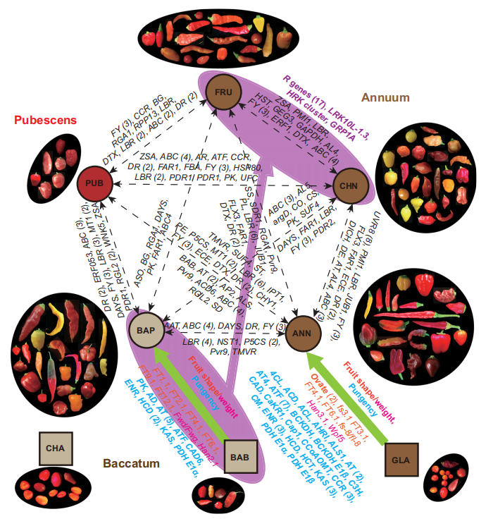 ͼ5I ������ֲ���ѱ�����ֻ����������.png