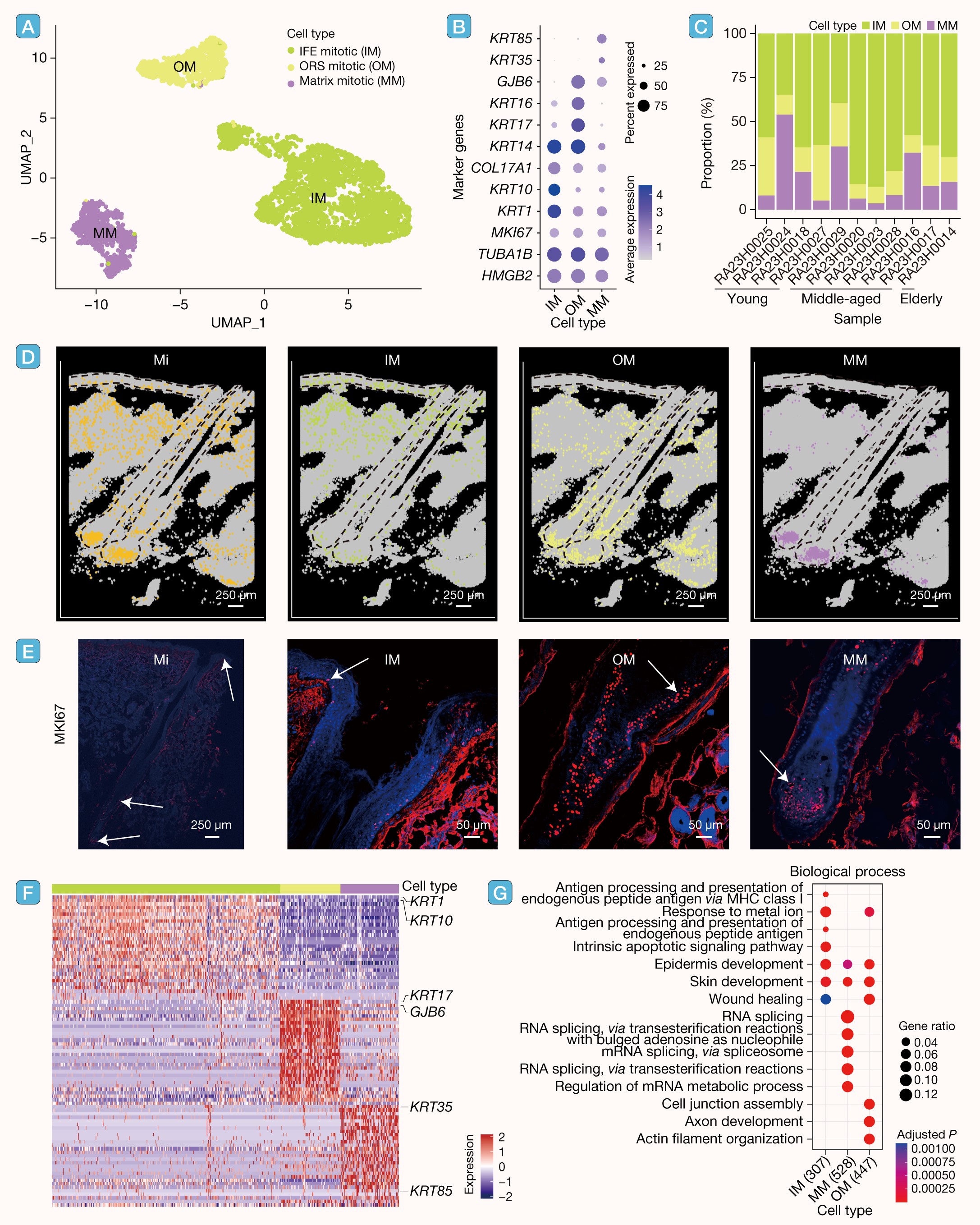 Fig.3 (2 column).jpg