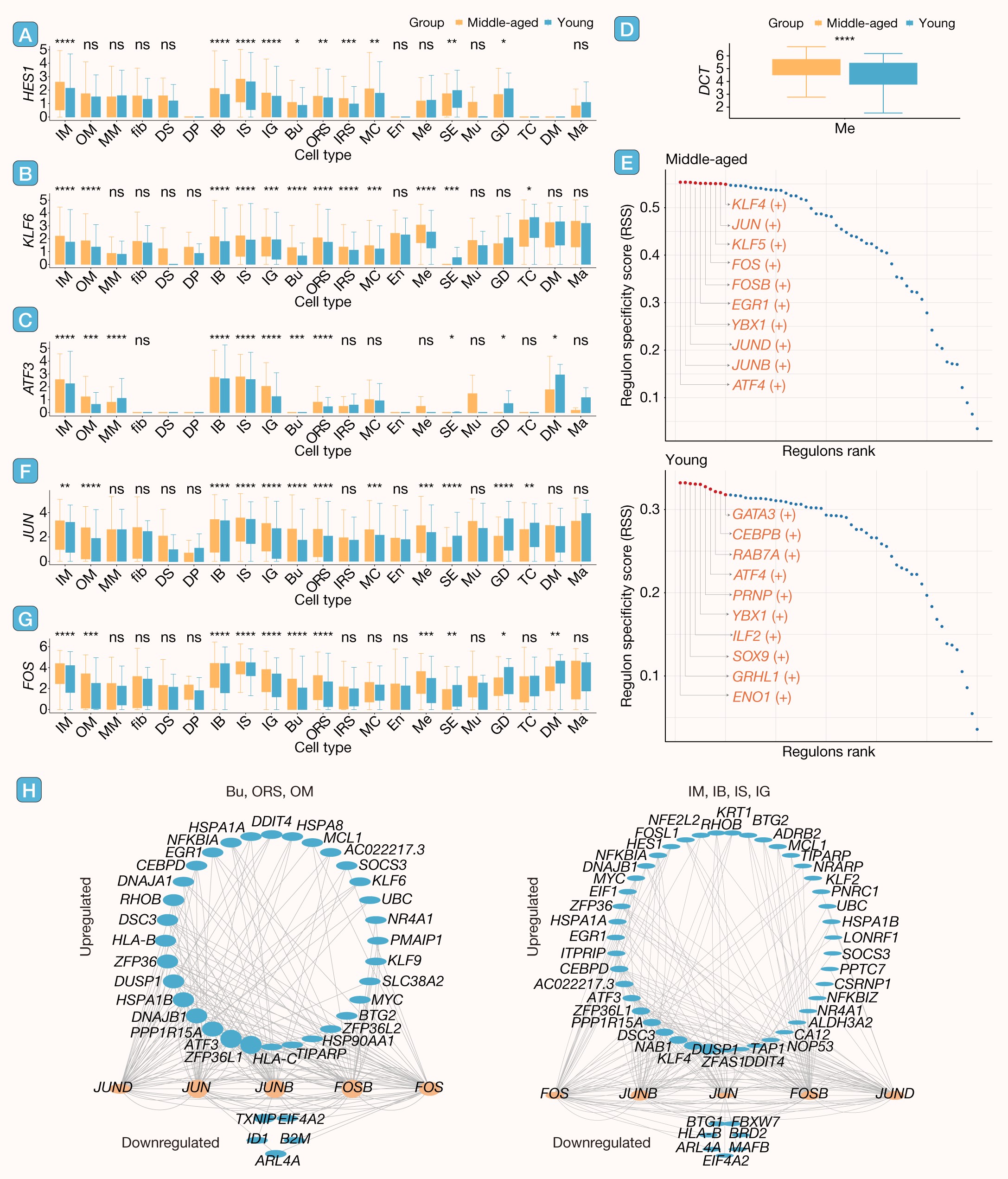 Fig.7 (2 column).jpg