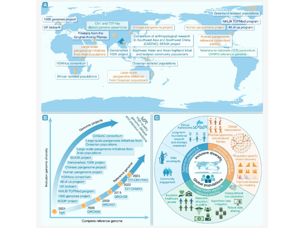 ��Ļ��ͼ 2026-02-10 163703.png