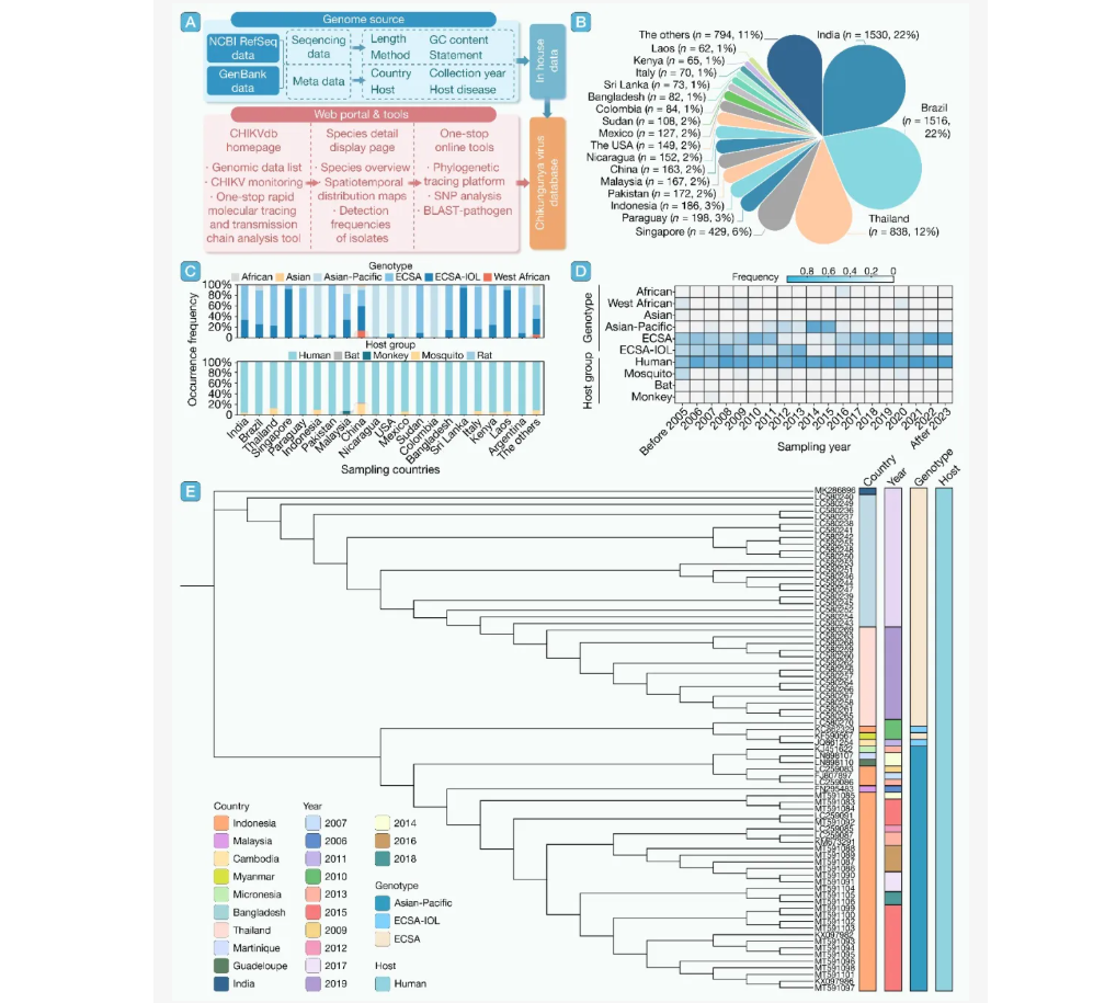 ��Ļ��ͼ 2026-02-10 163624.png