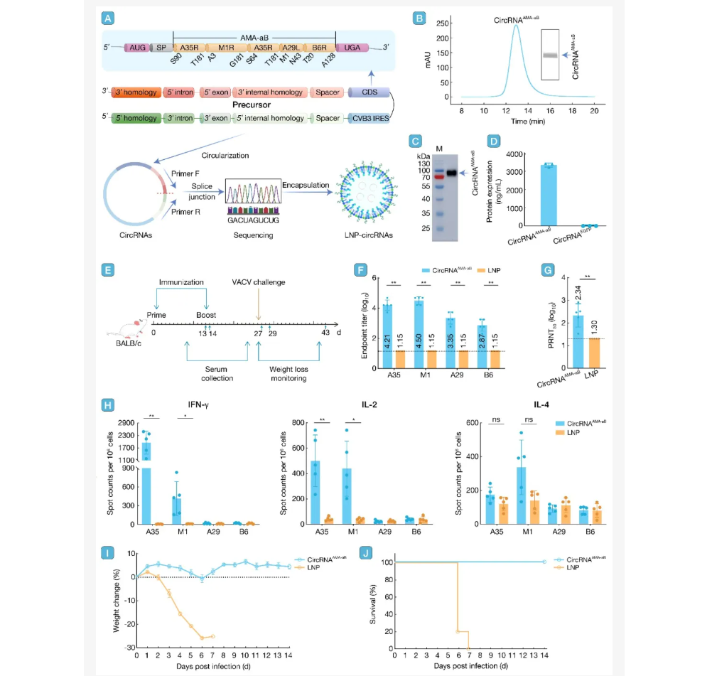 ��Ļ��ͼ 2026-02-10 163820.png