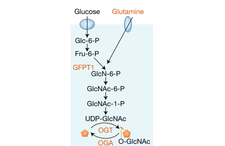 ��Ļ��ͼ 2026-02-10 164311.png