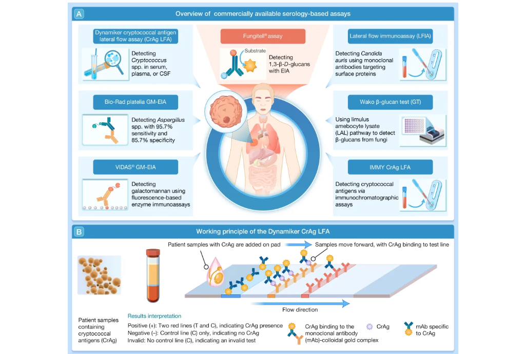 ��Ļ��ͼ 2026-02-10 165120.png