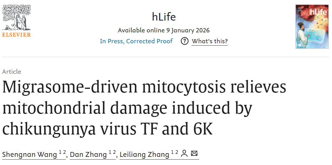 ��Ļ��ͼ 2026-01-29 142308.png