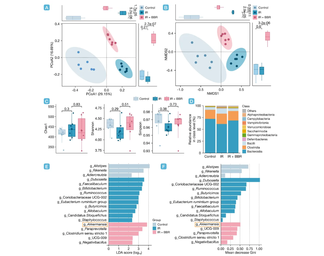 ��Ļ��ͼ 2026-02-11 120013.png