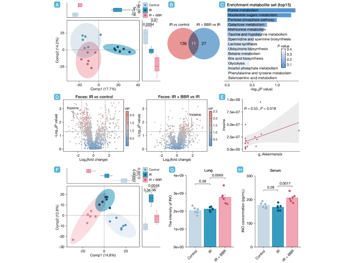 ��Ļ��ͼ 2026-02-11 120024.png