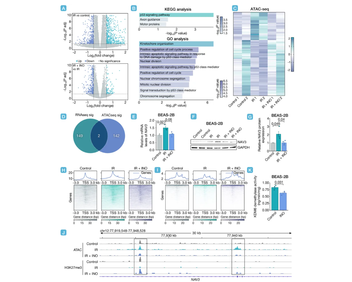 ��Ļ��ͼ 2026-02-11 120030.png