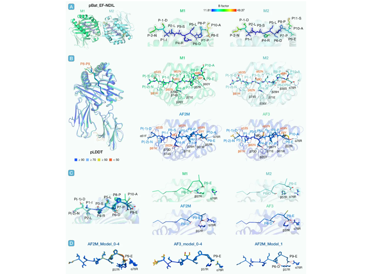 ��Ļ��ͼ 2026-02-11 140153.png