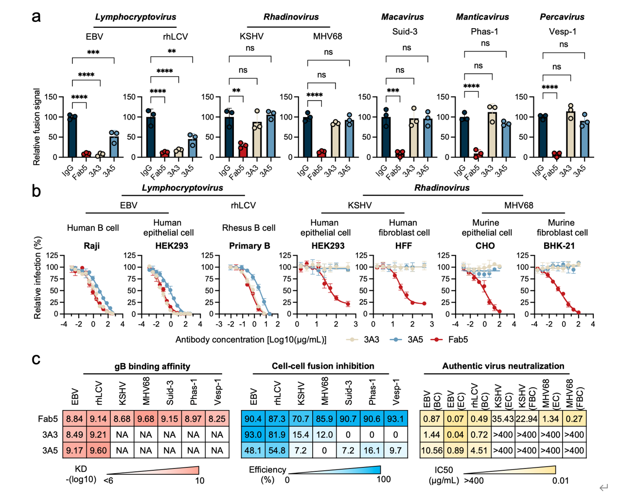 ��Ļ��ͼ 2026-02-04 111631.png