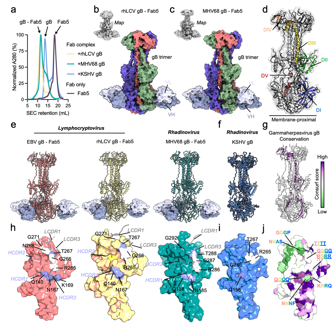 ��Ļ��ͼ 2026-02-04 111744.png