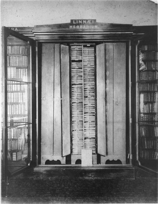 4 ���ε���Ҷ�걾�� ��2ҳ-3.PNG