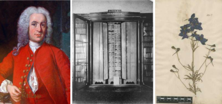 2 ���������ε�Ф��1���󣩡������Ƶĳ�����Ƭ���У�����.png