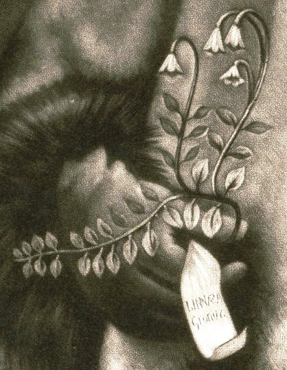 ͼ3 �������λ������ԡ��������׷��ε����Ρ���ϸ��ͼ.jpg