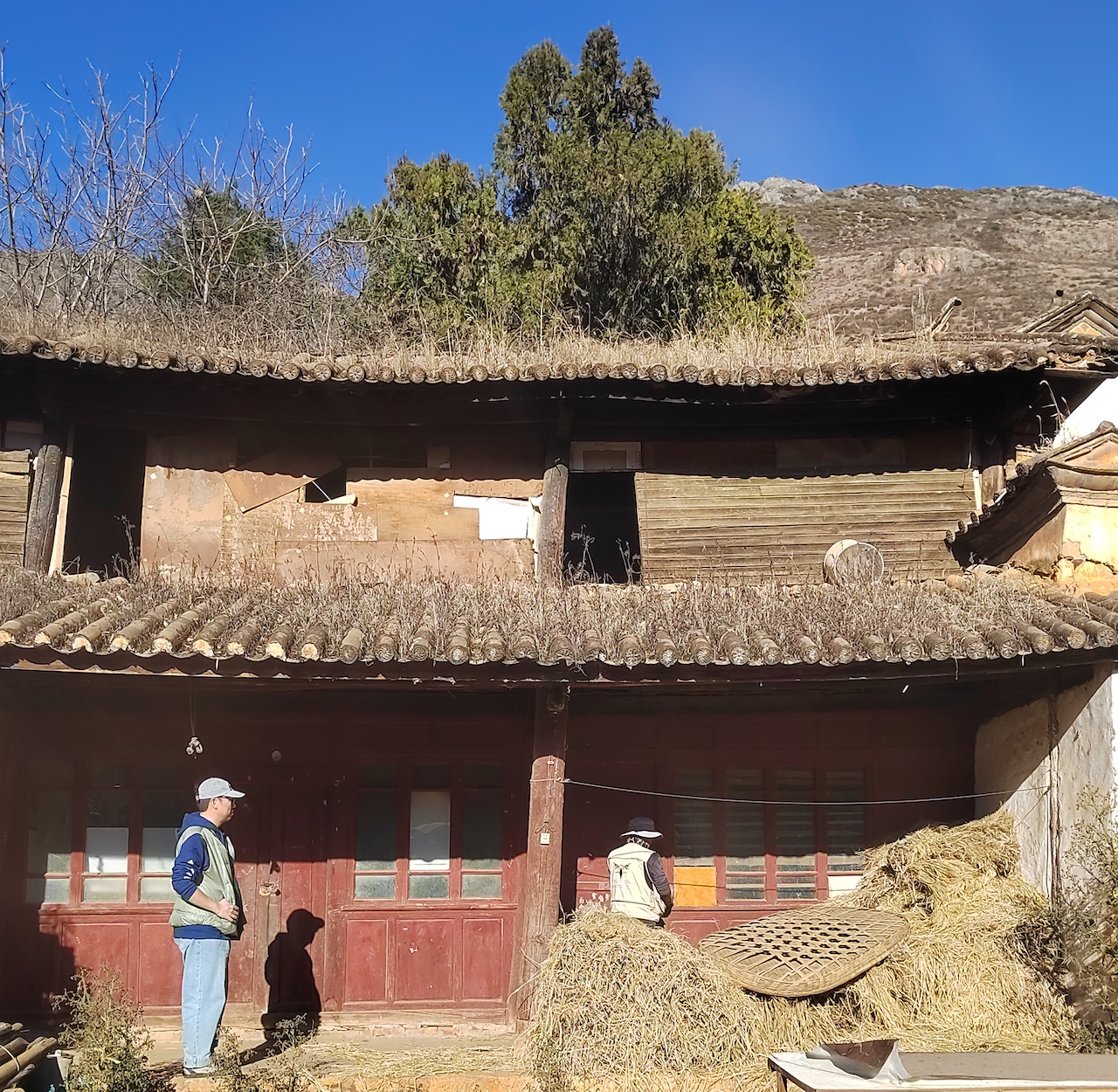 Steppe eagles by MaMing _20260212.jpg