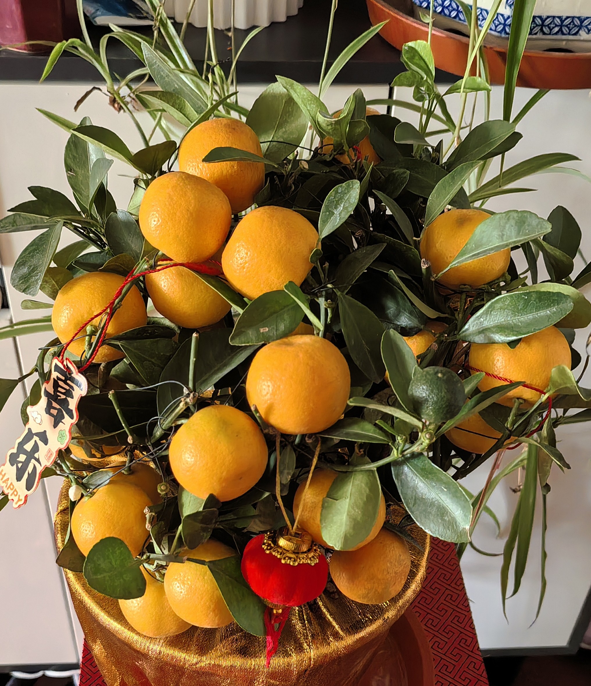 2 ΢��ͼƬ_20260223103353_494_3.jpg