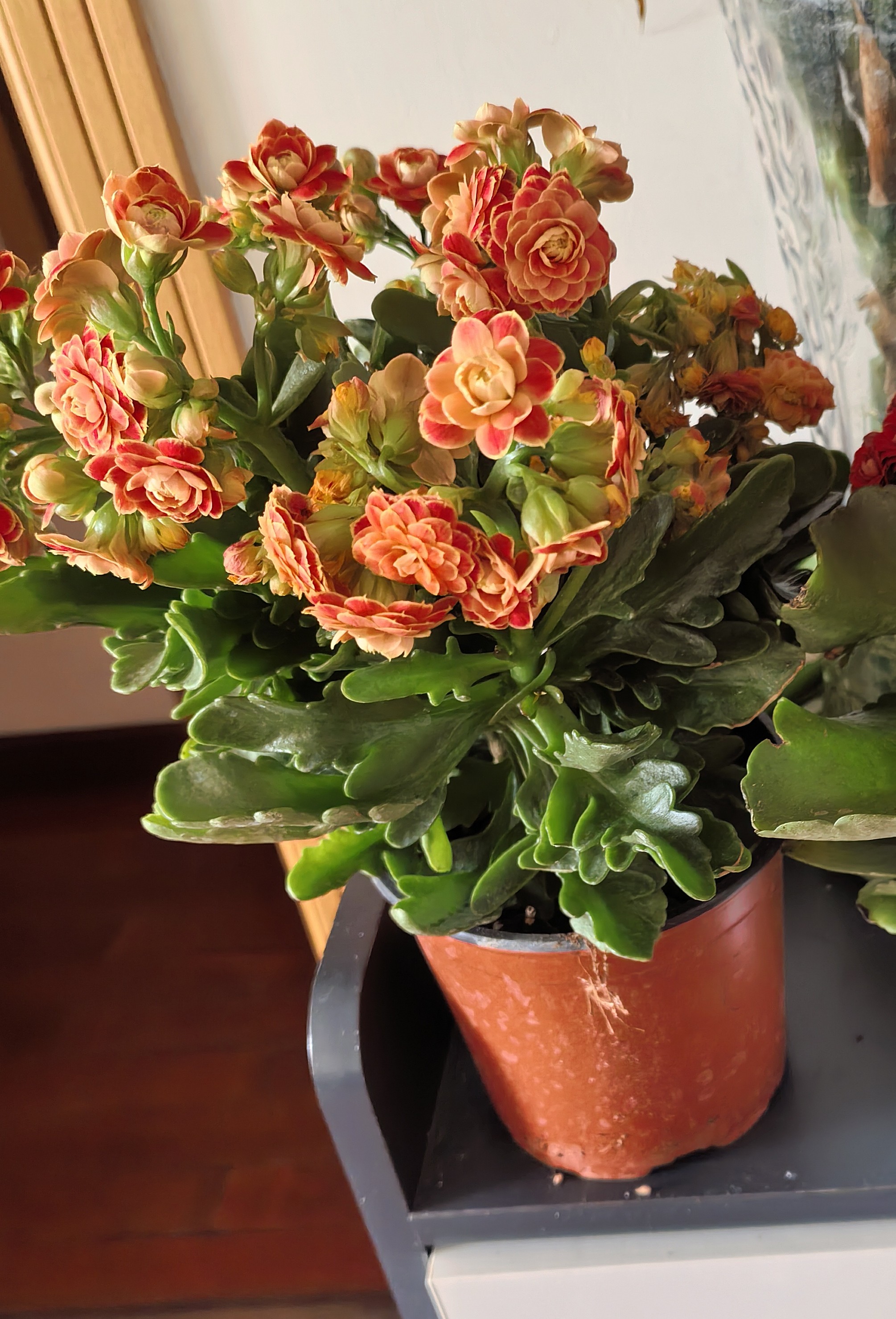 3 ΢��ͼƬ_20260223103337_491_3.jpg