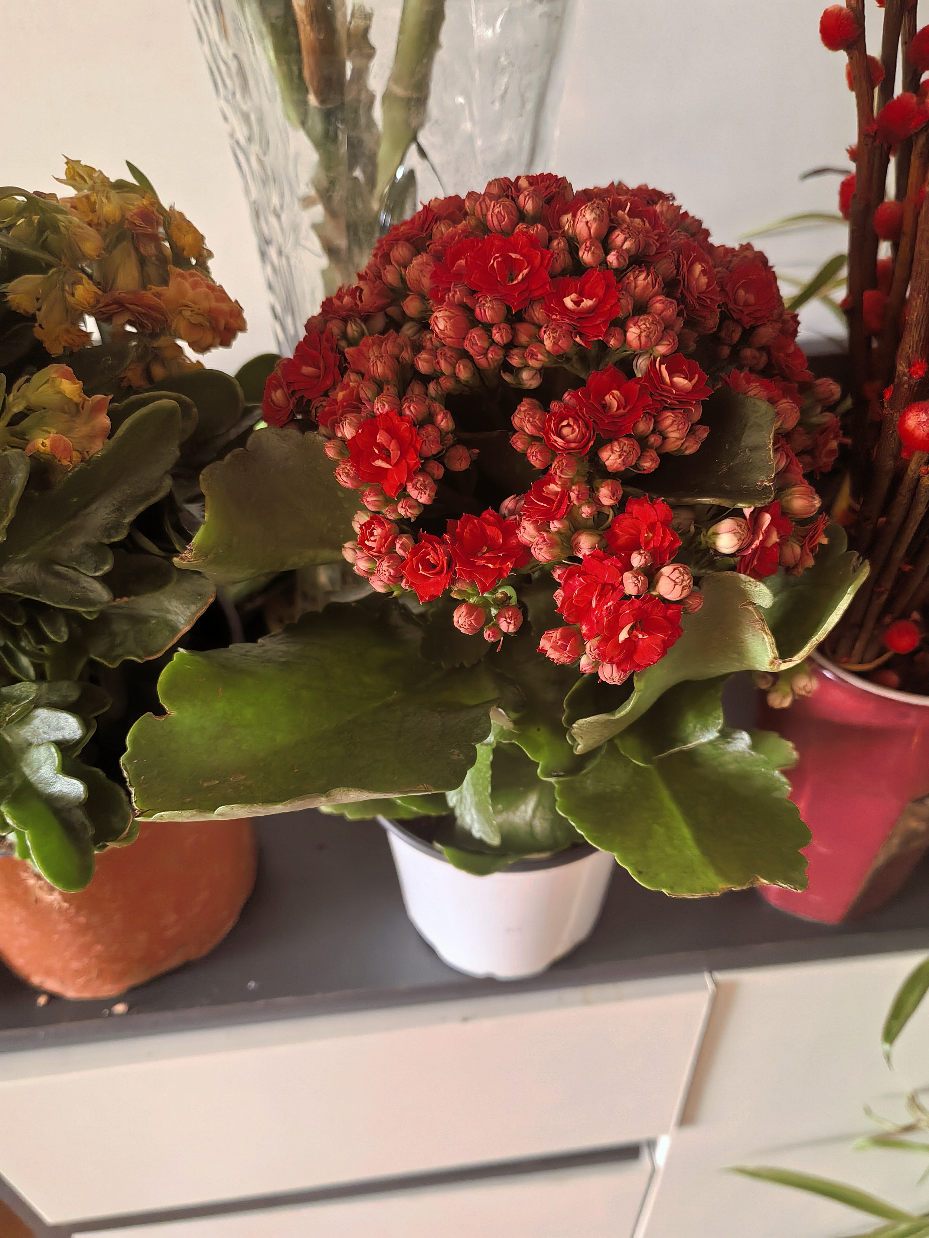 4 ΢��ͼƬ_20260223103905_497_3.jpg