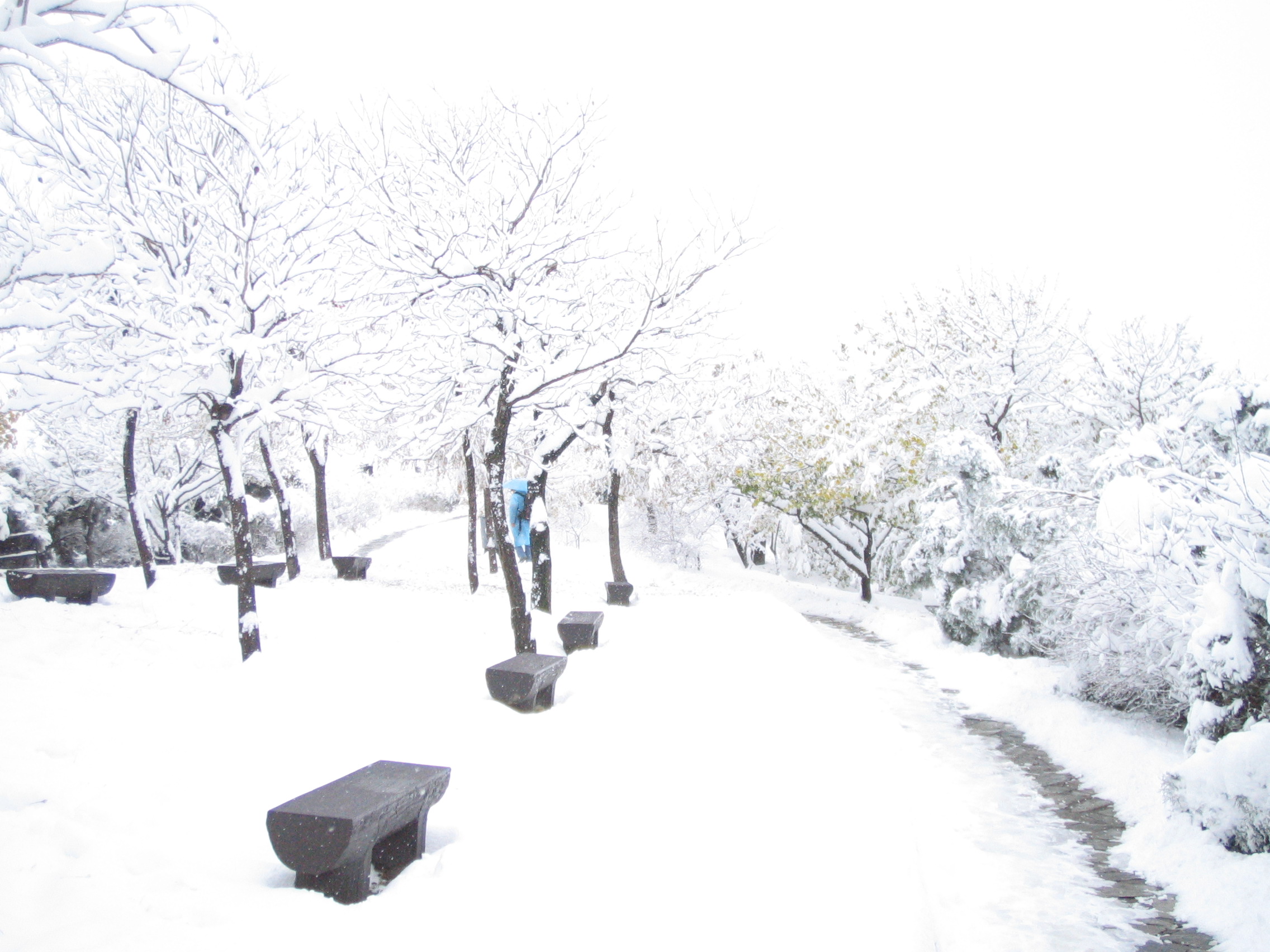 ��֪��-2009-11 112.jpg