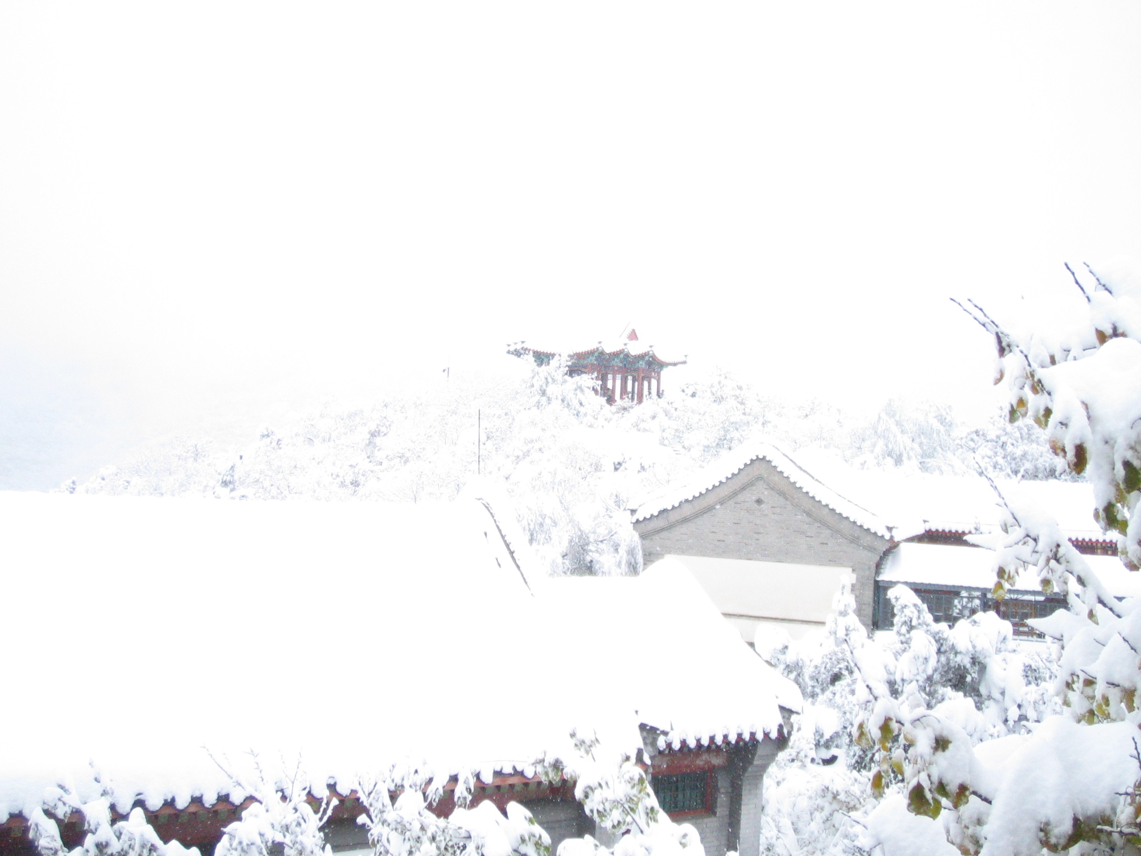 ��֪��-2009-11 113.jpg