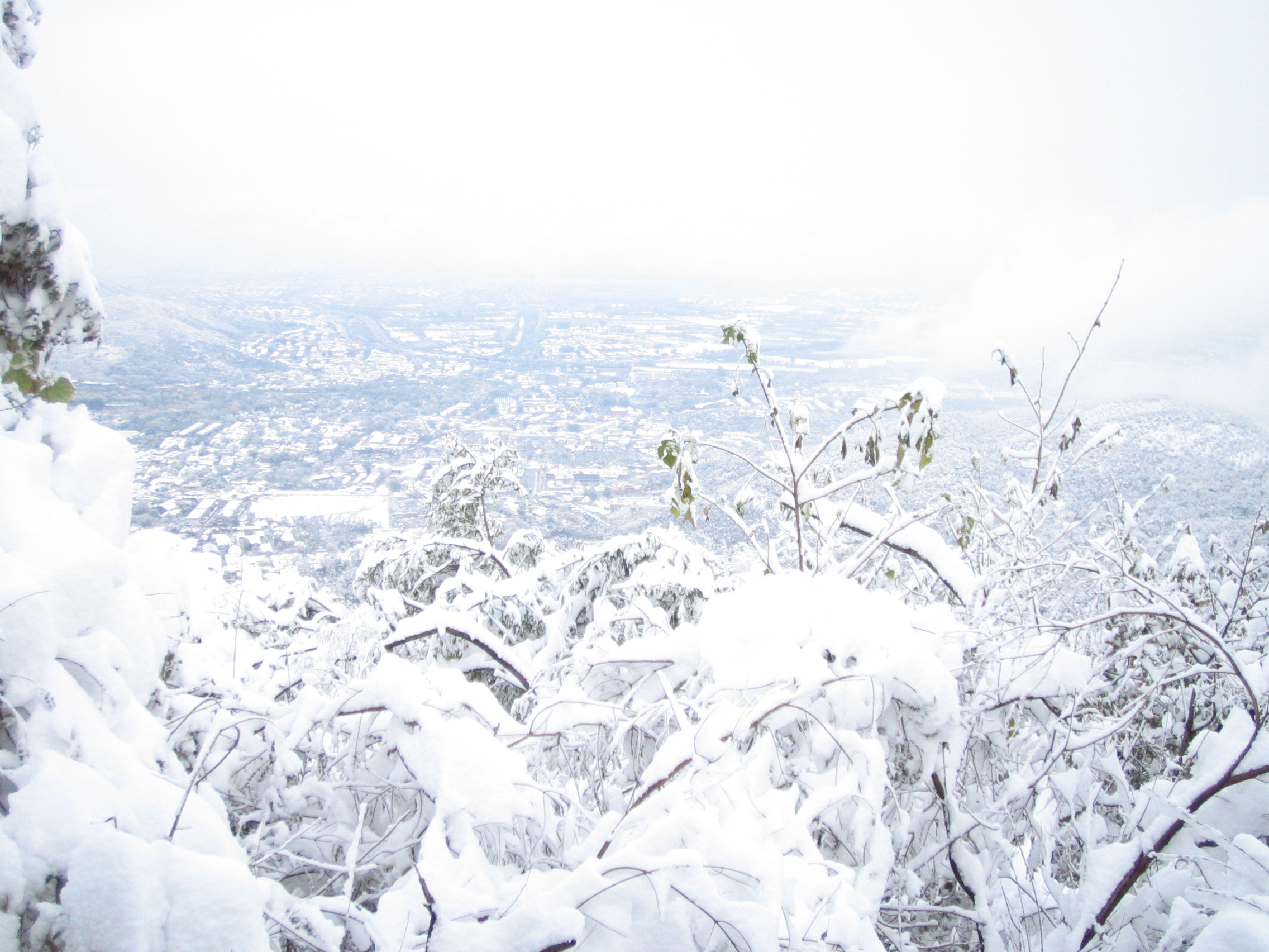 ��֪��-2009-11 121.jpg