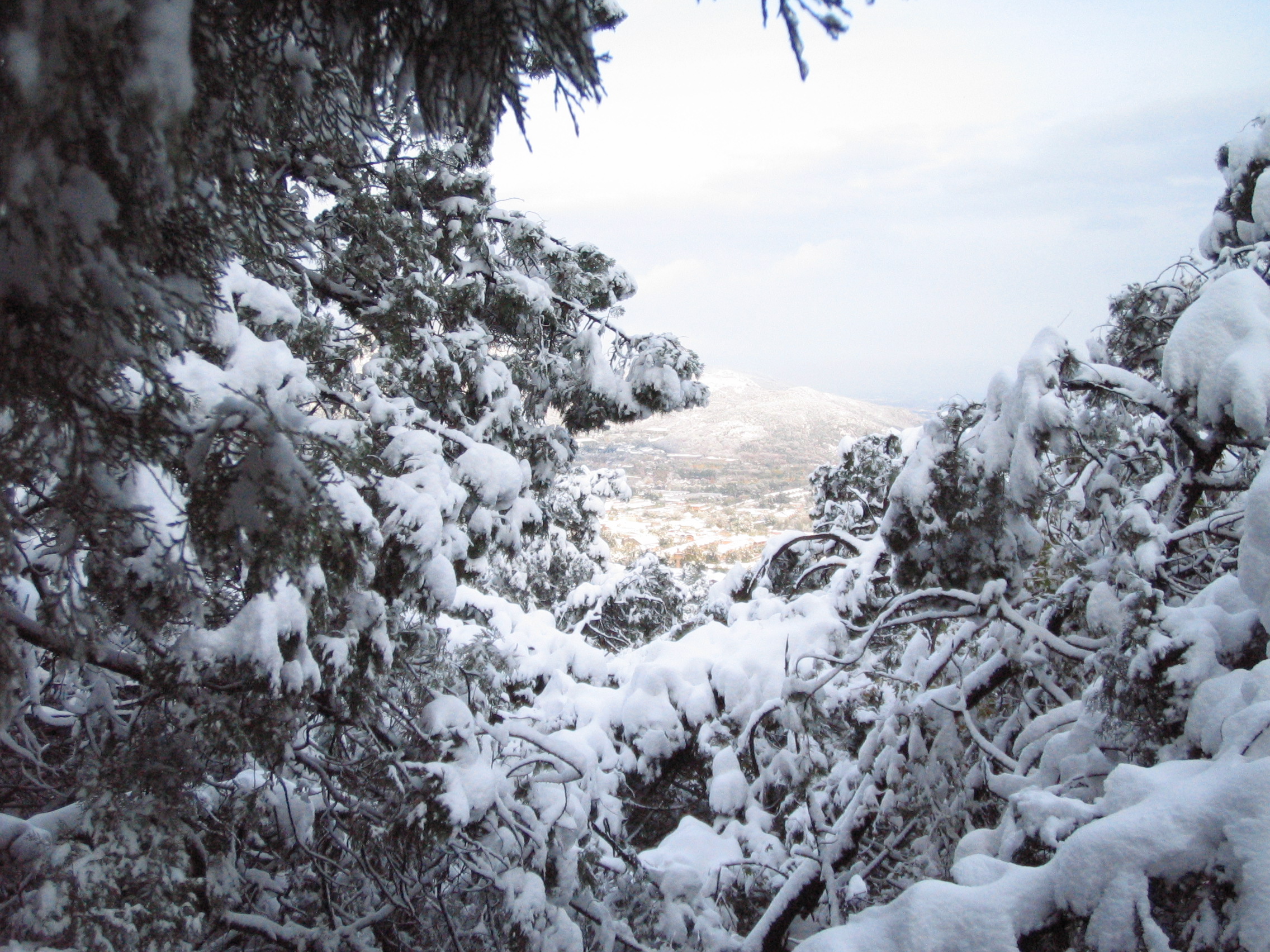 ��֪��-2009-11 122.jpg