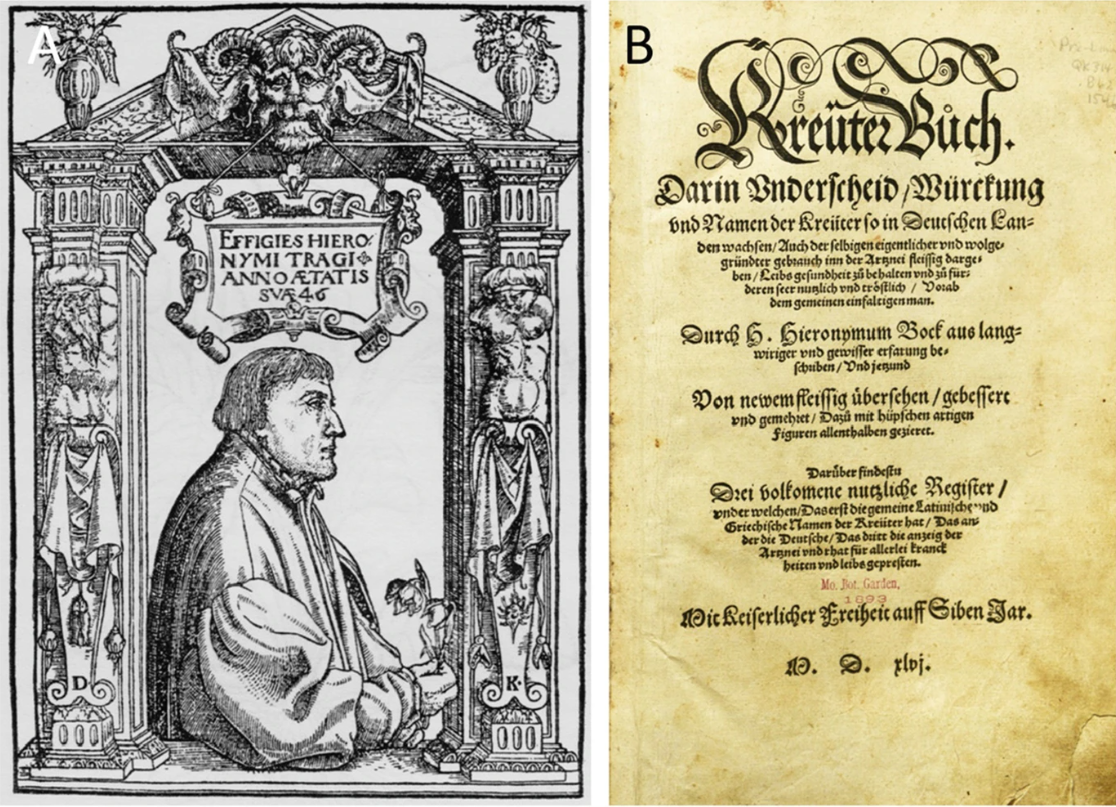 图4.4 莱昂哈特·福克斯的《植物史》。(A)1542年版的标题页.png