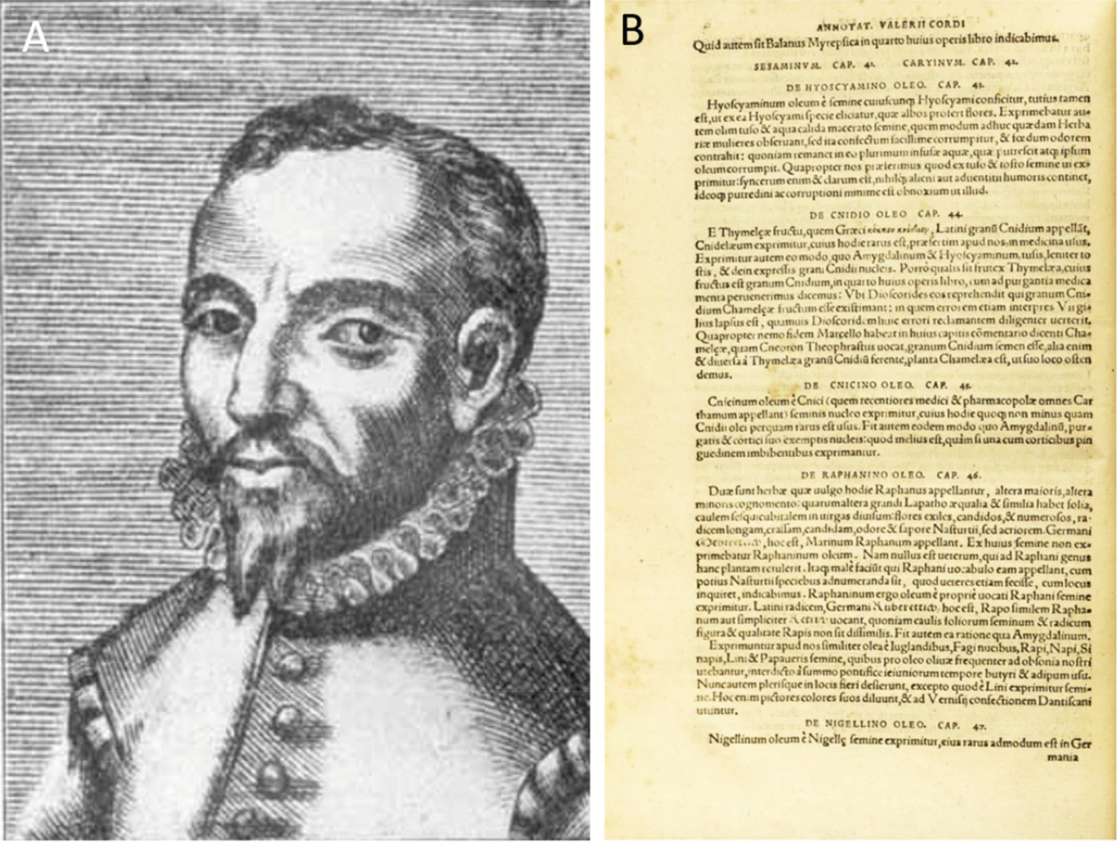 图4.5 瓦勒留斯·科尔杜斯(1515–1544;A)以及他1561年《植物.png