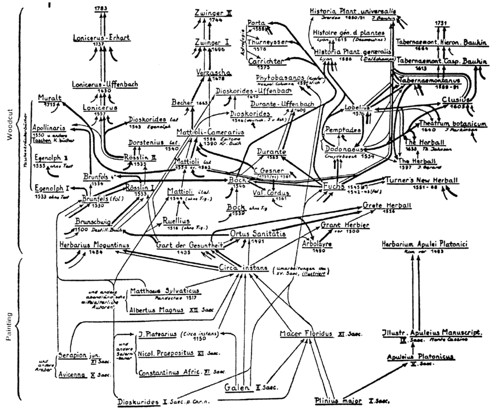图4.6 从迪奥斯科里德斯开始,草药学家及其著作之间的相互.png