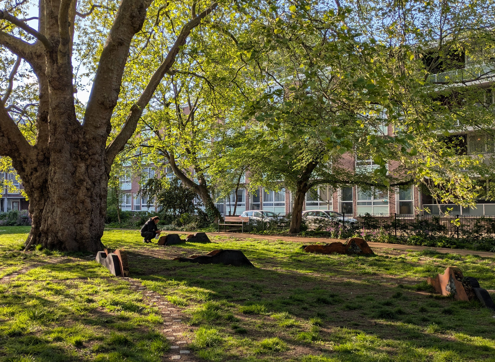 图6 树语 t-h-ree-listening-close.jpg