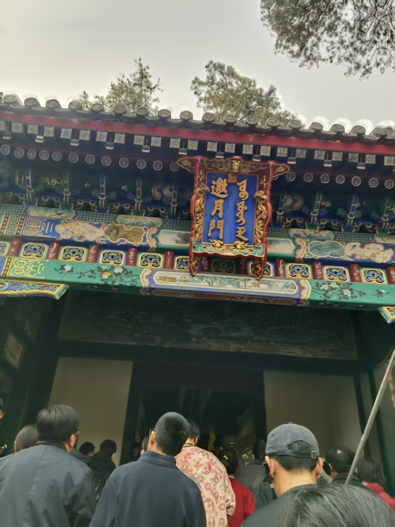 16 ΢��ͼƬ_20260225102110_26_497.jpg